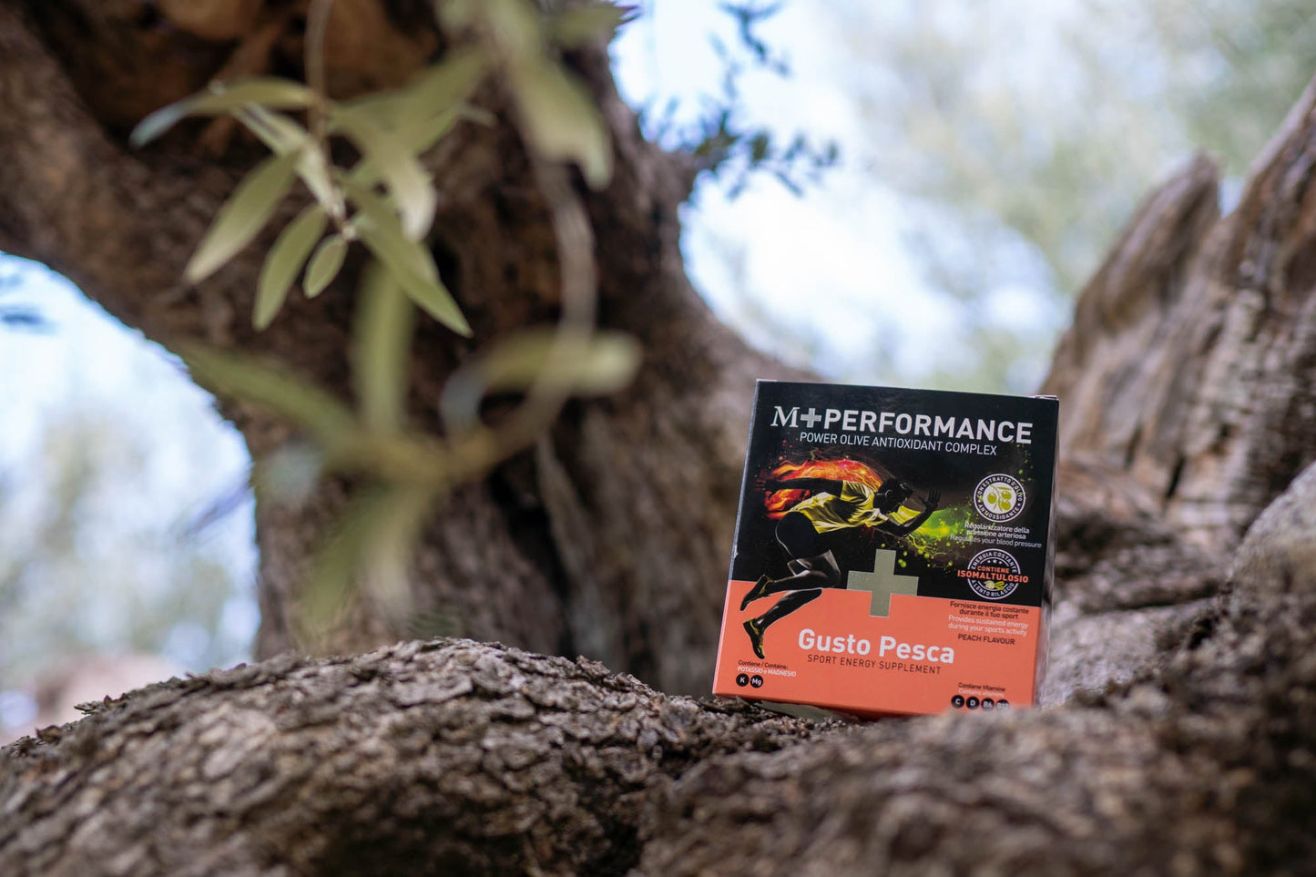 M+PERFORMANCE: UNA CARICA DI ENERGIA DALLA NATURA